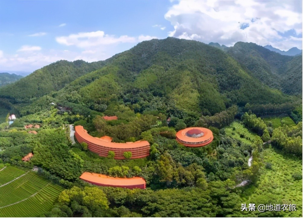 在乡村振兴中发挥雁阵效应,湖南鹊山模式培育乡村振兴领头雁