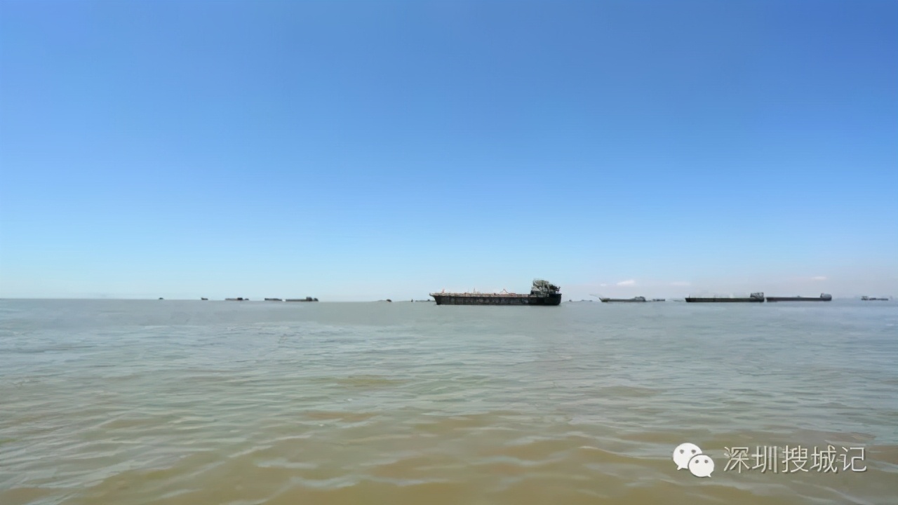 深圳福永黄油蟹做法,深圳正宗黄油蟹