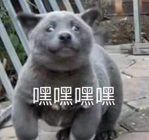 国货中最好用的隔离霜,最好用国货的隔离霜