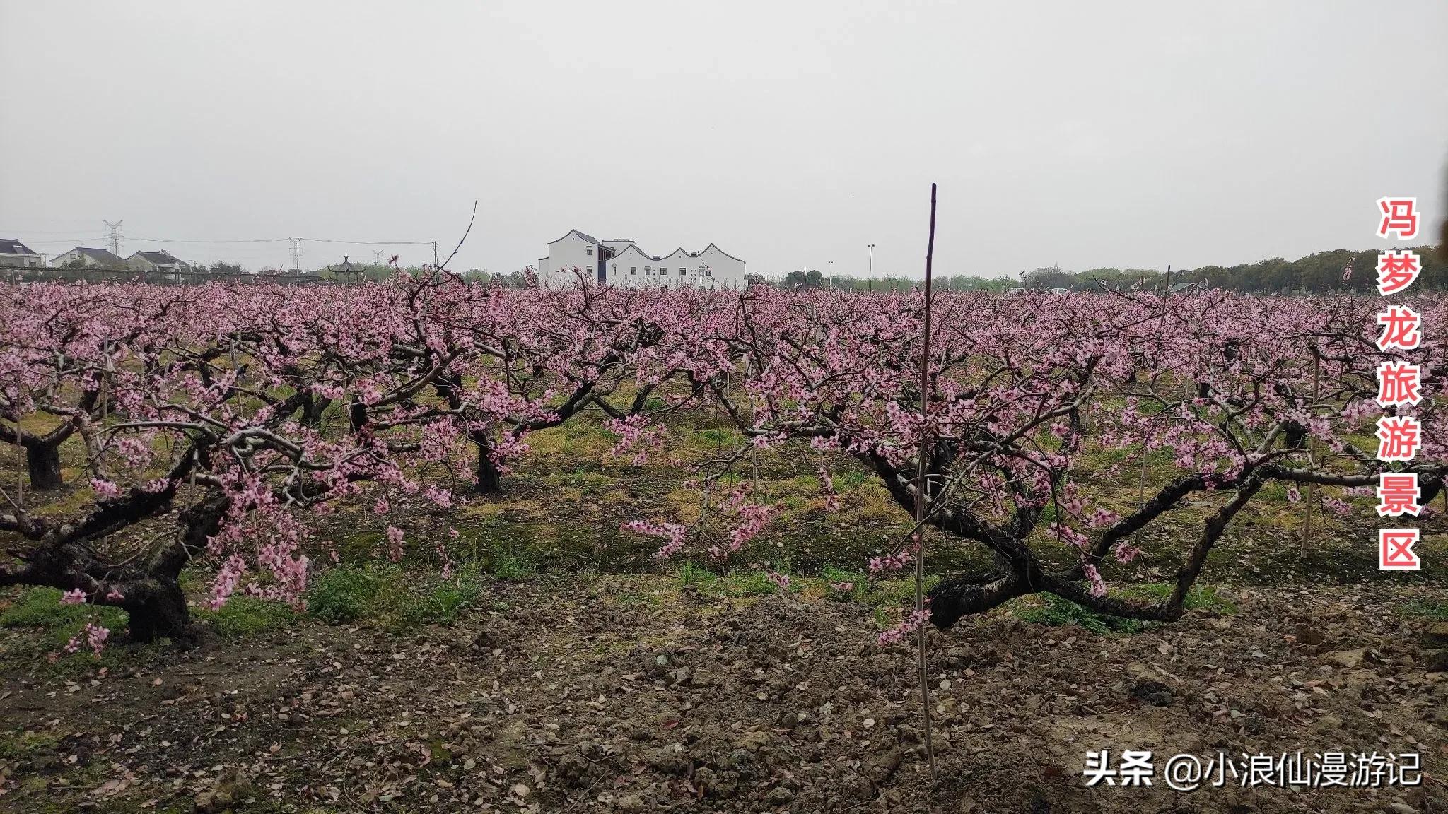 苏州春节免费景点有哪些,苏州景区免费景点大全