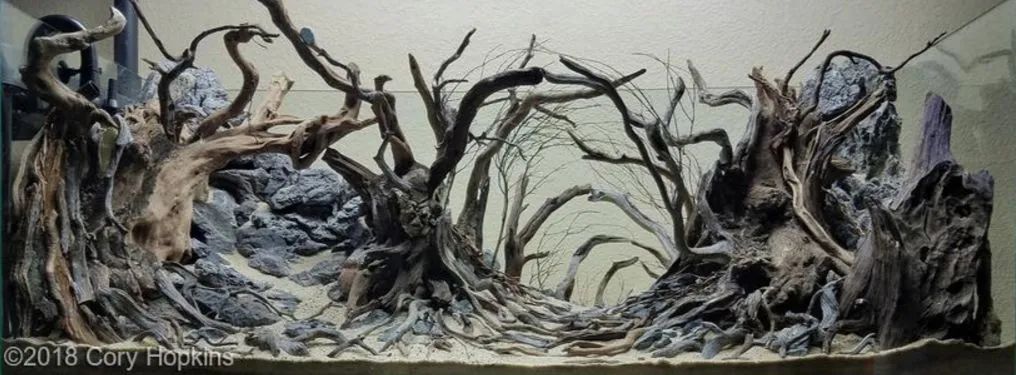 造景如何看起来有层次,十个最好看的造景