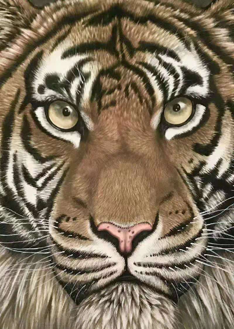 画虎名家秦洪彬,擅长画虎的画家作品欣赏