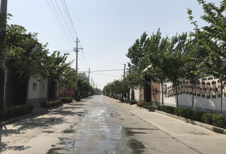 缇庝附涔℃剚缁垮寲缇庡寲,缇庝附涔℃剚涔℃潙缁垮寲瑙嗛