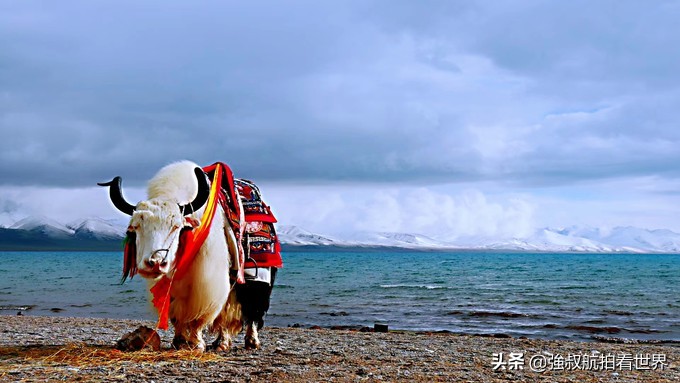 川藏小环线5天,川藏青藏大环线18天行程攻略