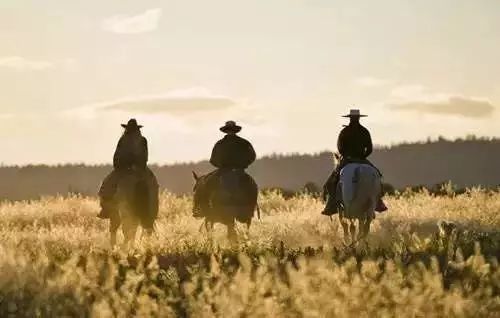 如何理解“圣人常无心，以百姓心为心”？“无心”是什么含义？