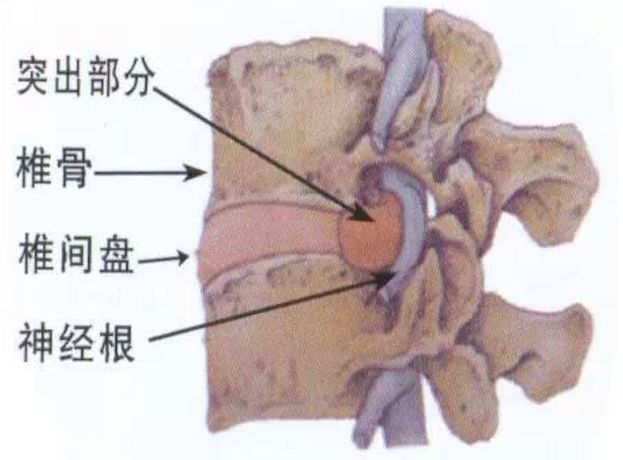 鹿晗易烊千玺,鹿晗易烊千玺街舞
