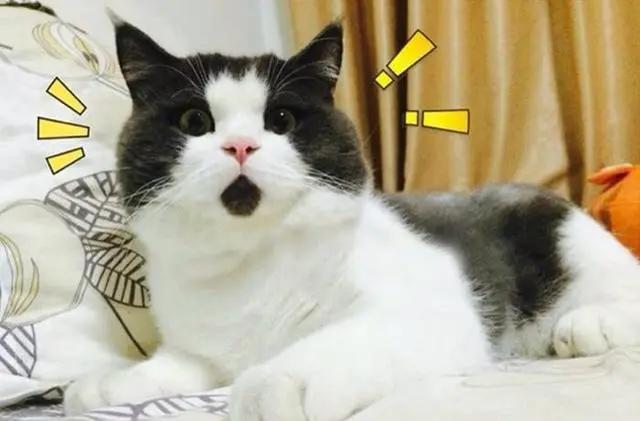 献上一份窗帘选购攻略,样式、材质、安装一个不缺,记得收藏