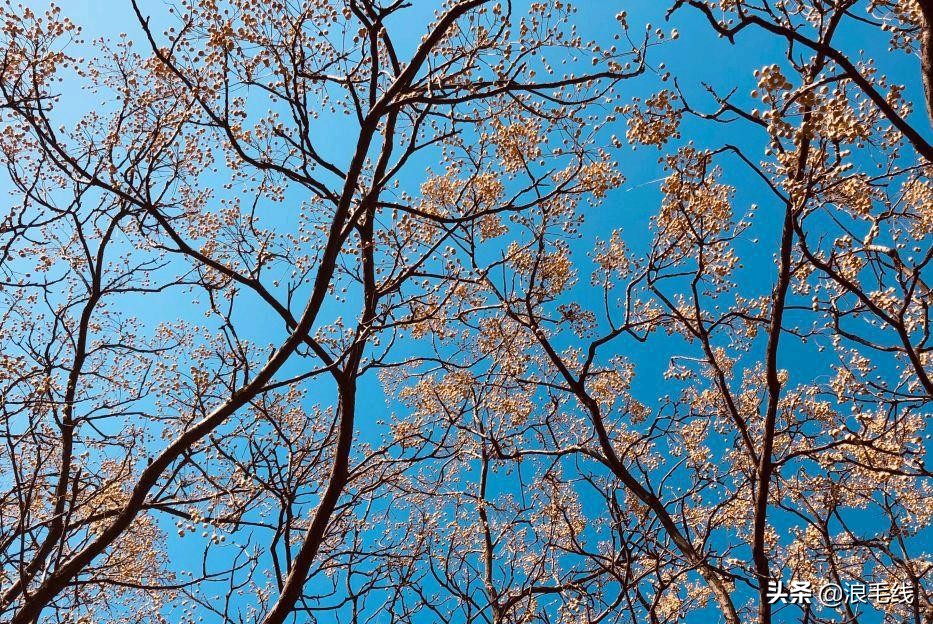 济南千佛山西路网红打卡地,千佛山打卡地