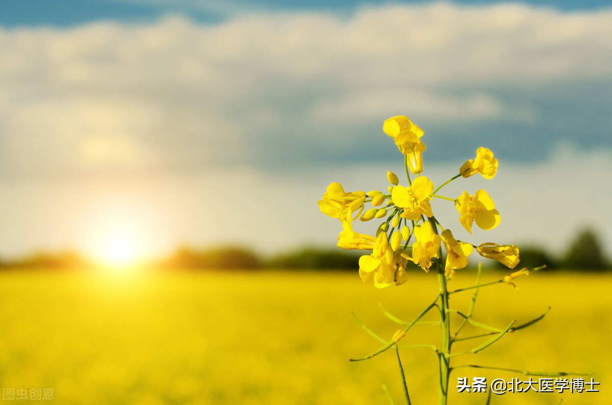 某处瘙痒怎么办,私部瘙痒怎么有效快速解决