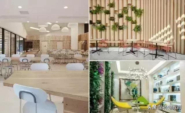 深圳双一流,广东深圳双一流