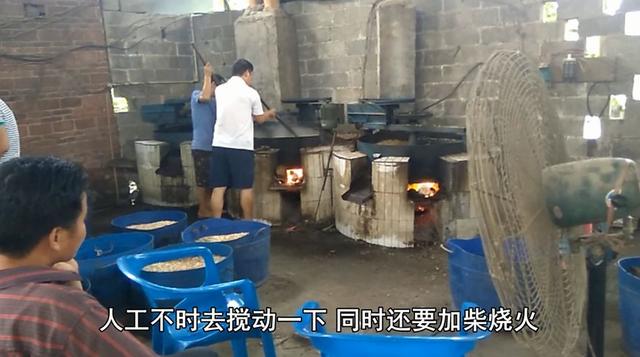 专家说农村自榨花生油不能吃,小伙公开榨油过程,专家不说话了