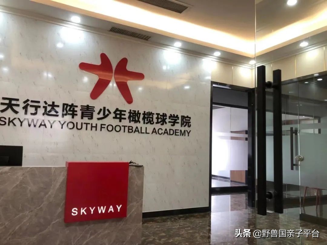 少儿篮球运动哪家好,权威少儿篮球兴趣班机构排名