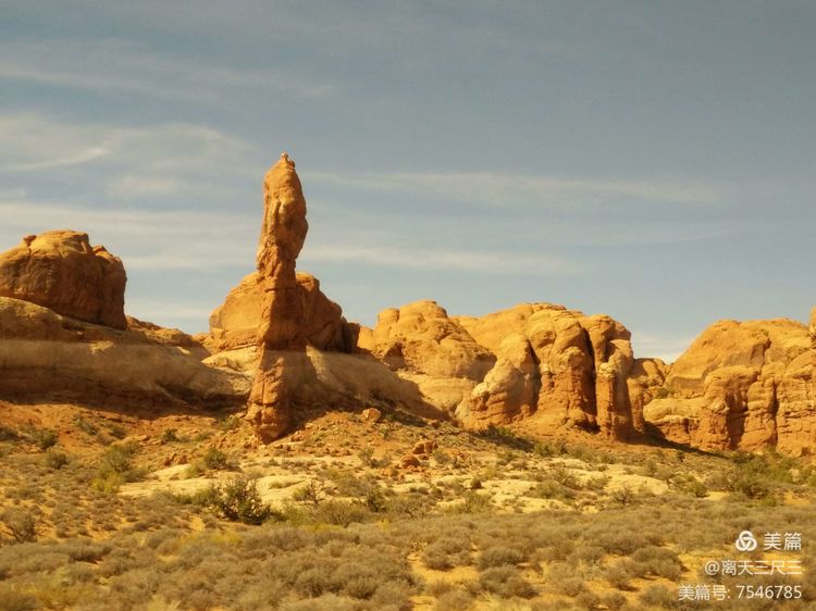 鍖楃編鏋儏闃虫柊,鍖楃編鏋儏鍥剧墖
