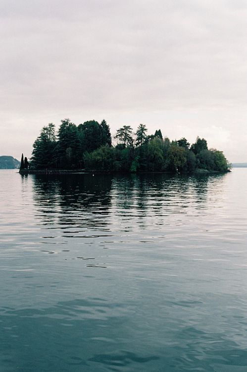 薛定谔的仪式感——是什么让每一杯茶都值得纪念？