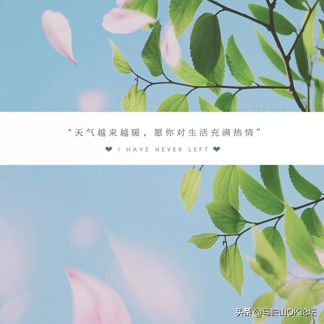 马鞍山滨江公园樱花开了吗,马鞍山雨山樱花