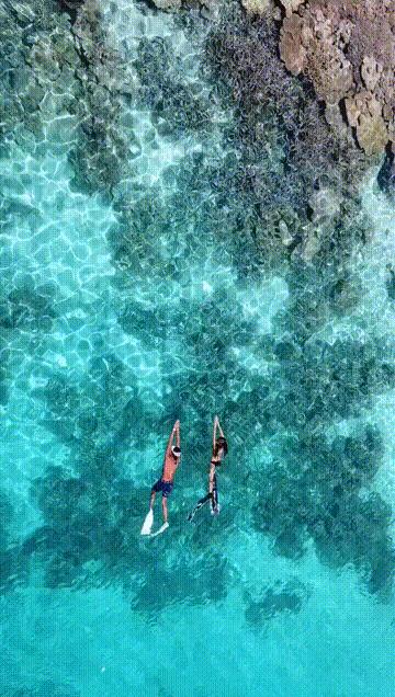 人间仙境之帕劳,帕劳是位于太平洋上的一个小国