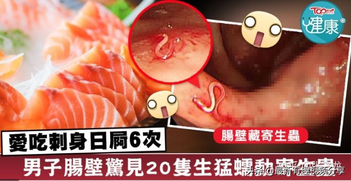 挪威三文鱼养殖环境恶劣纪录片,挪威三文鱼养殖环境恶劣新闻