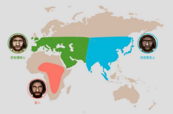 丹尼索瓦人化石,丹尼索瓦人南方古猿人