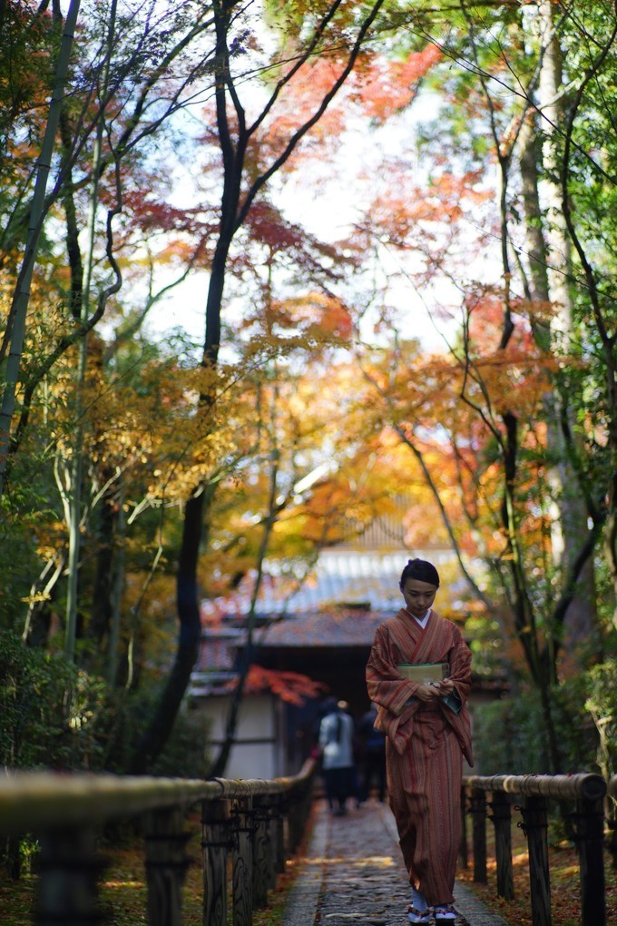 京都赏枫2022,京都赏枫必去景点有哪些好玩的