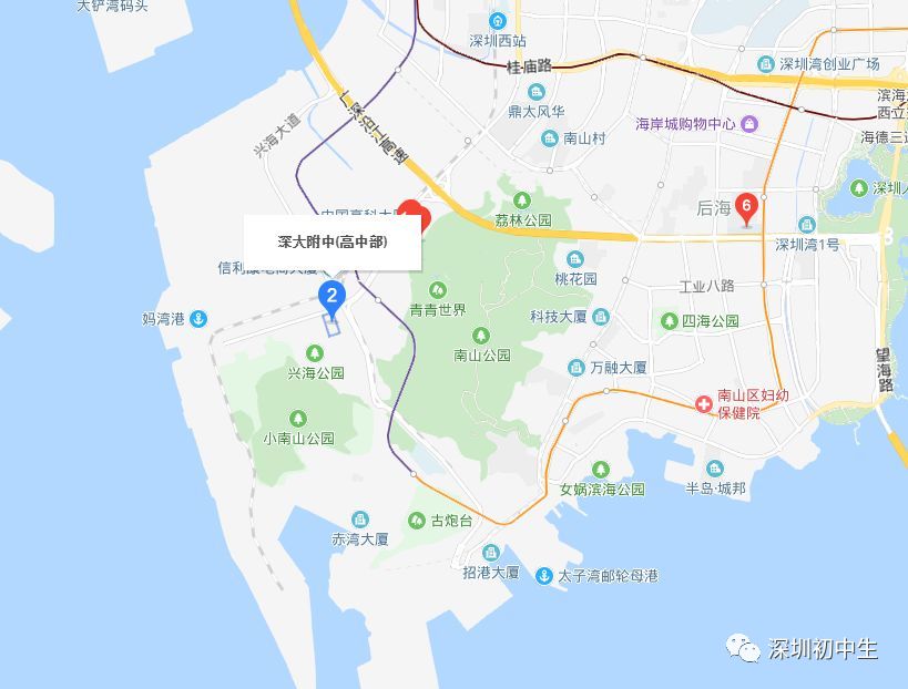 深大附中|除四大以外最好的市直属高中