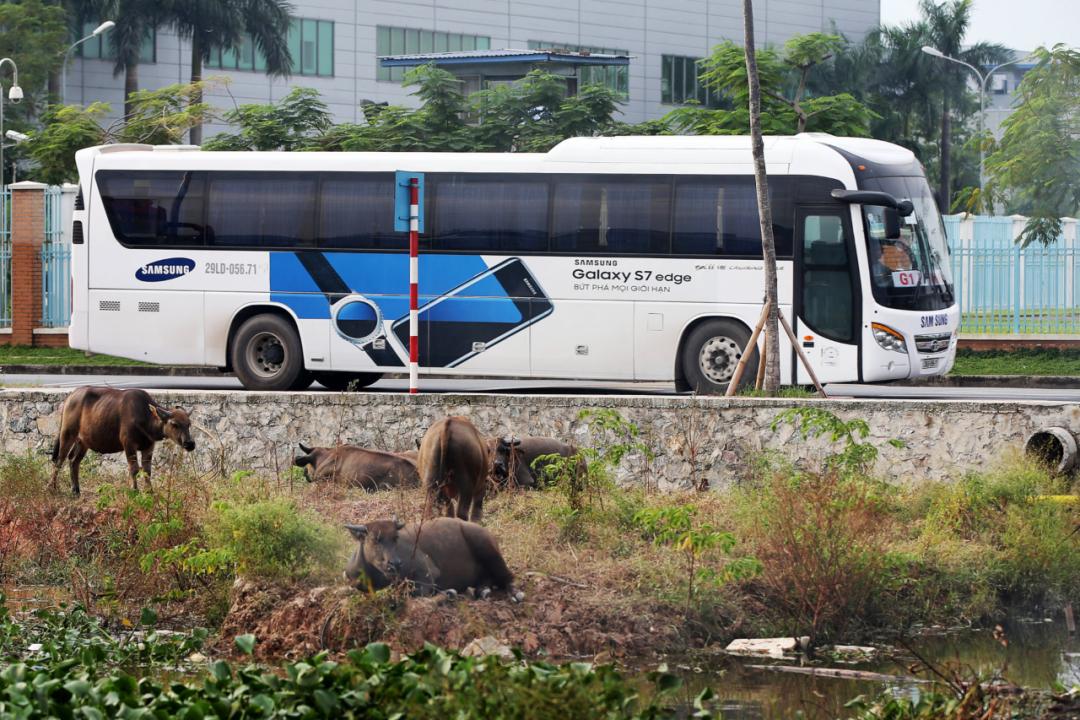 越南大电荒到底行不行,越南到底能不能去