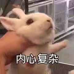 你起过最非主流的网名,自己的第一个非主流网名