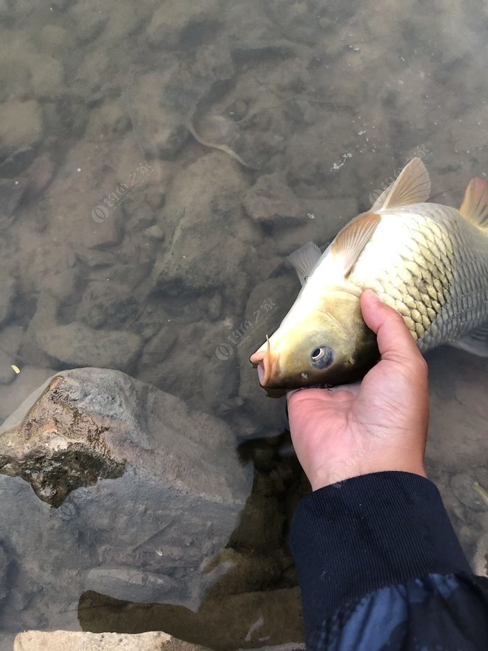 水底小鱼多就会没大鱼,自然水域没鱼情