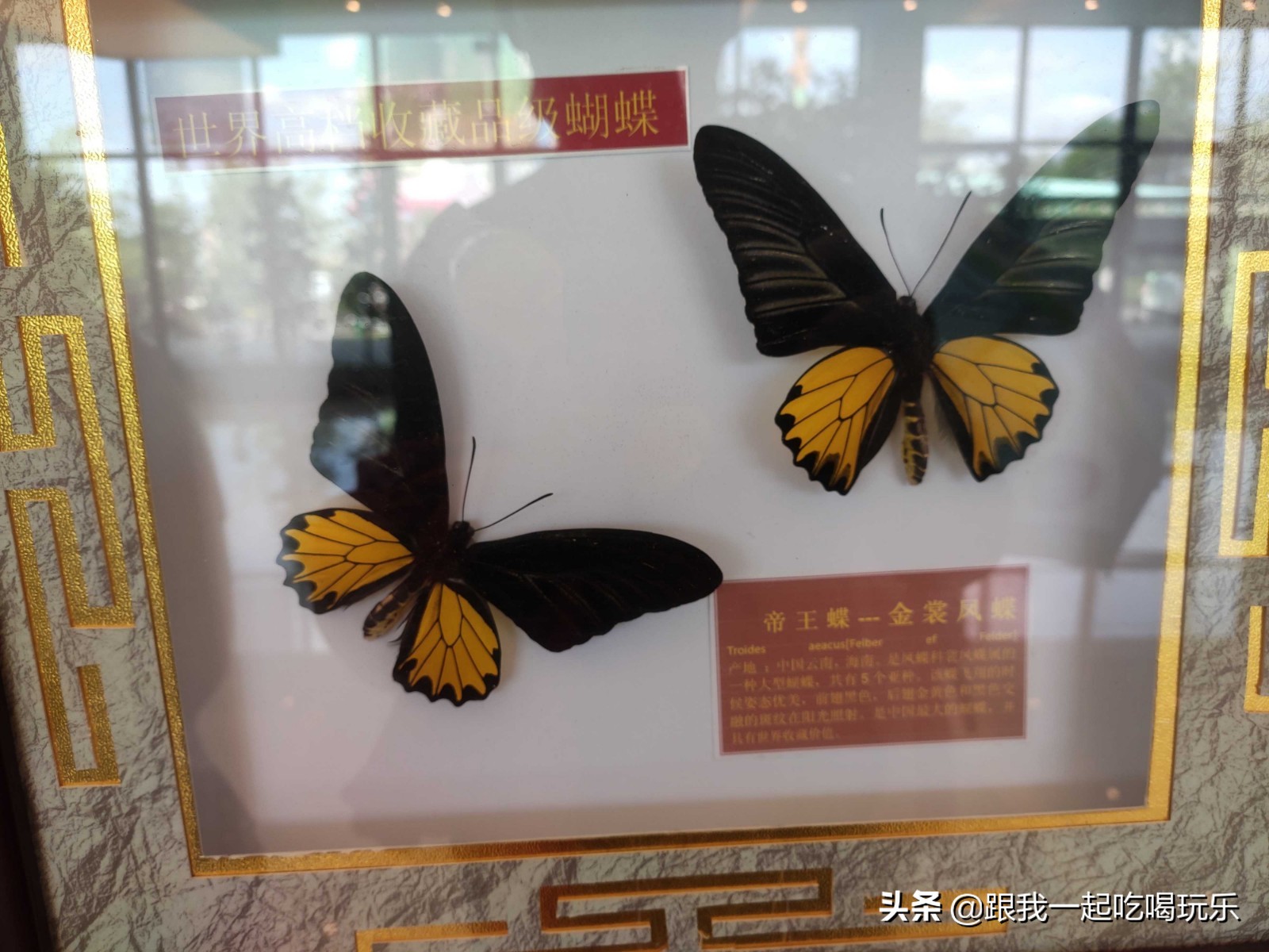 沈阳热高乐园丛林欢乐世界,沈阳丛林欢乐世界