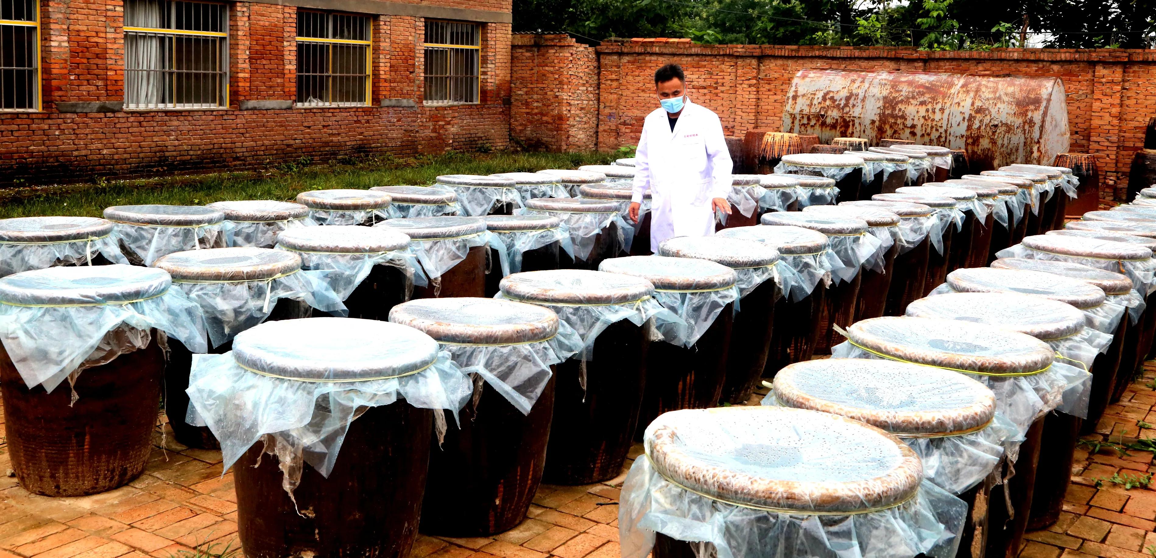 渭南市临渭区：长寿原上一滴醋（组图）