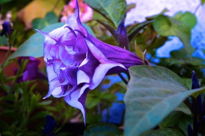 网贷利率35.99借10万一年多少钱,网贷年化利率上限15.4还是24%