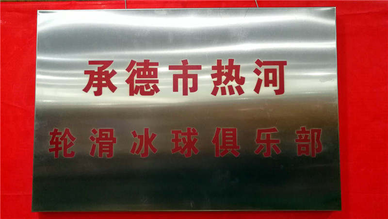 河北承德冰球联赛,承德冰球邀请赛u10