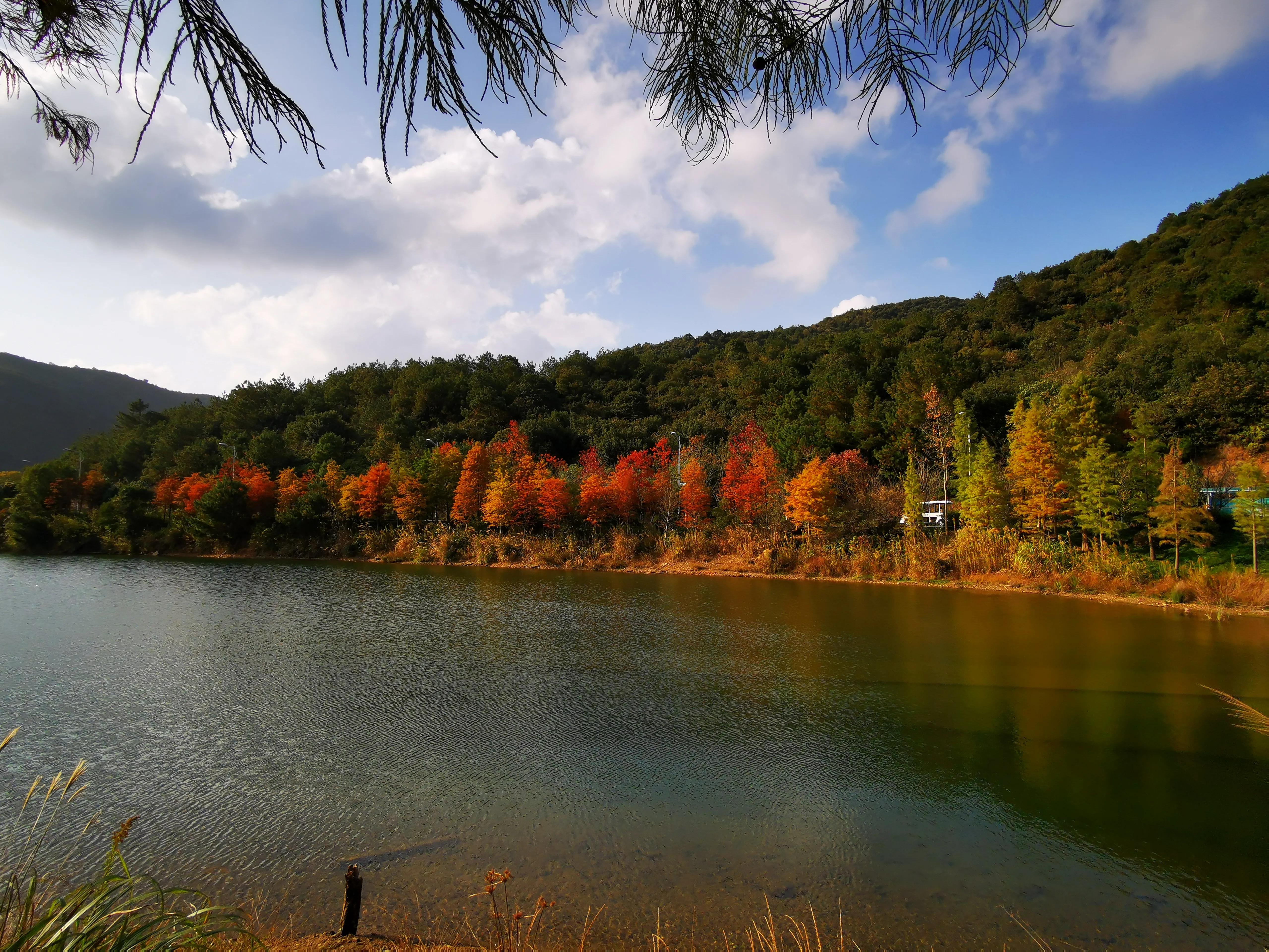 镇海区生活怎么样,镇海最好的地段是哪里