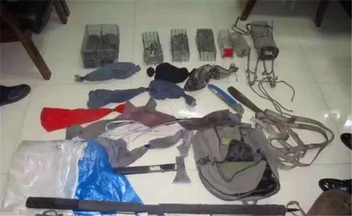 蜜袋鼯外出网兜小包夏季,蜜袋鼯捕鸟