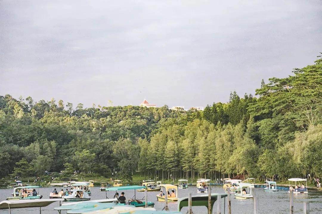 重庆轨道3号线,贵阳地铁3号线