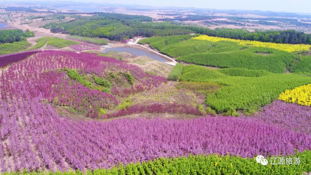 周游辽源怎么样,辽源周游攻略