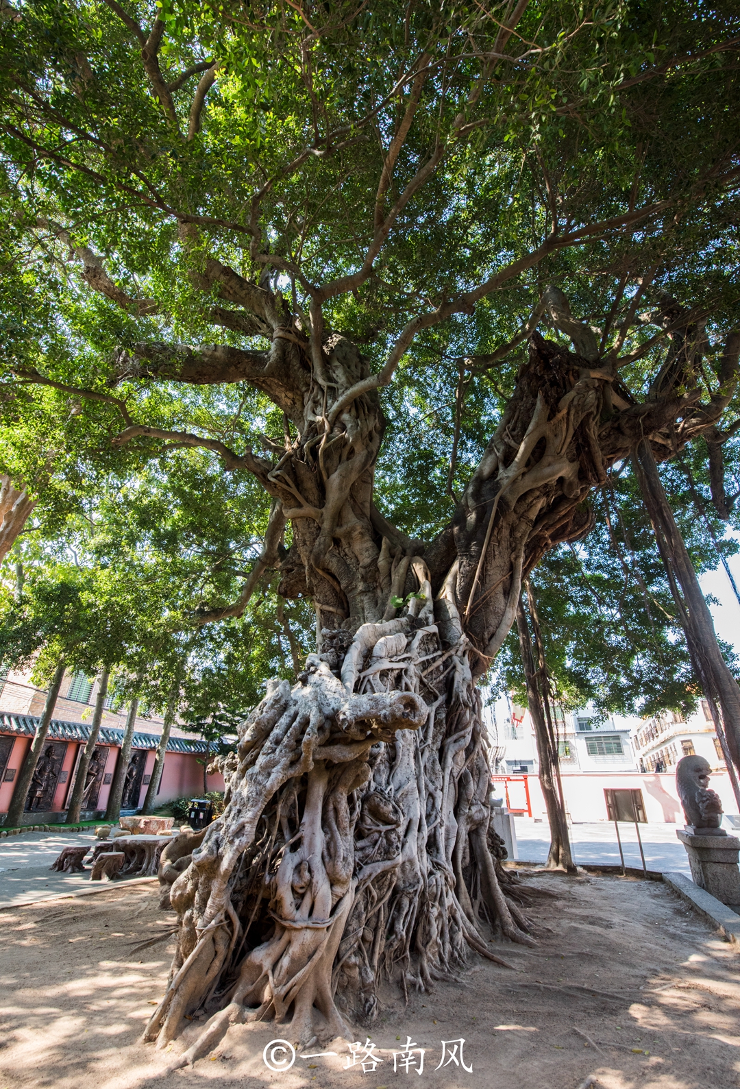 广东有几个海岛镇,广东唯一一个海岛县