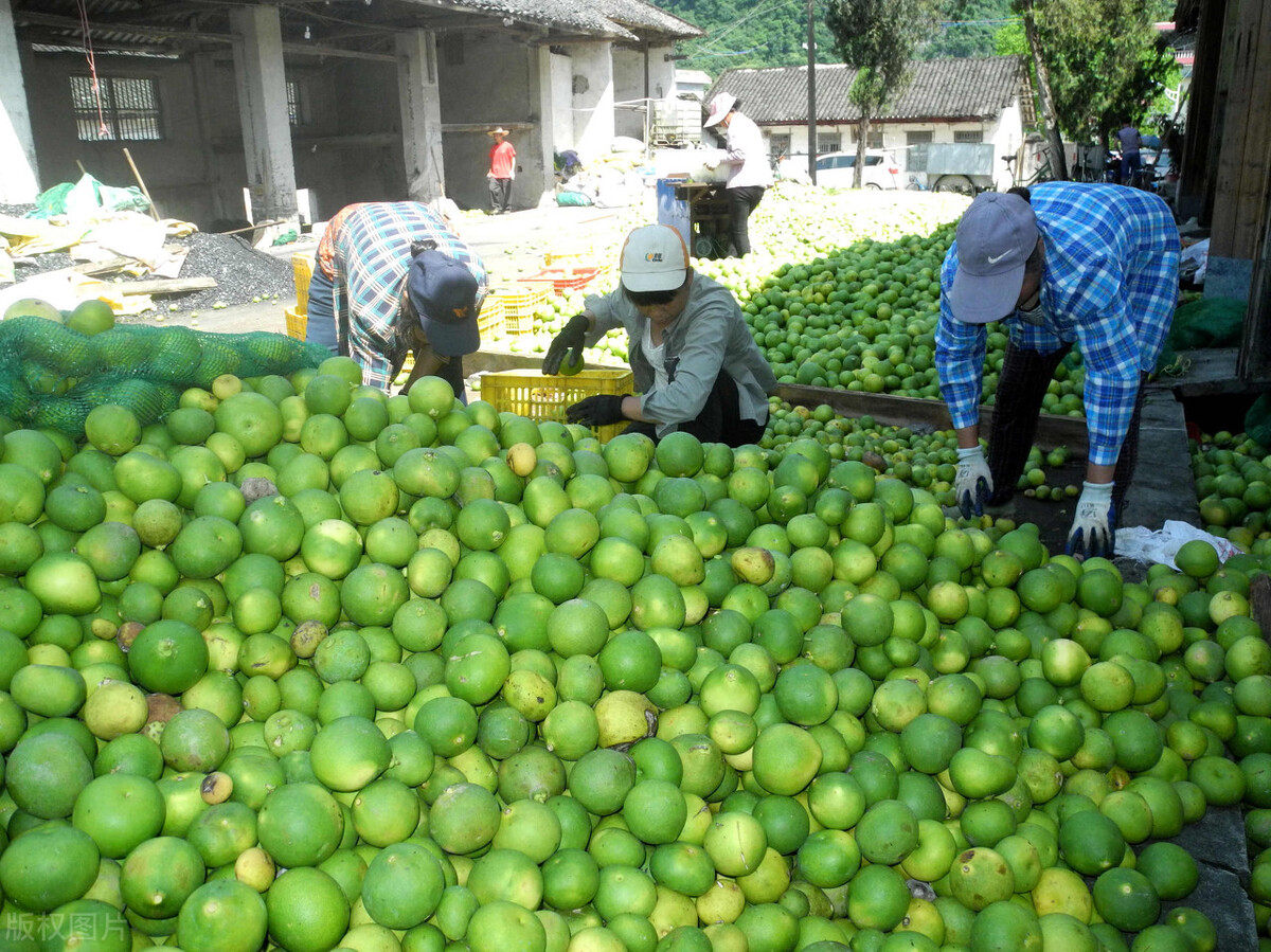 开店如何进货,开店怎么进货国货