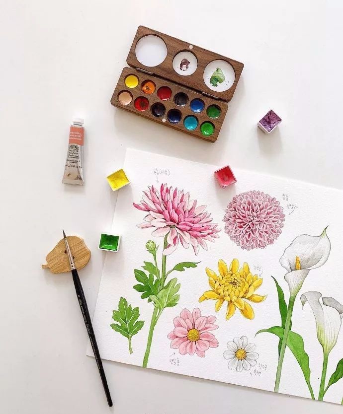 水彩画初学者的技巧和方法,画水彩需要注意的20点