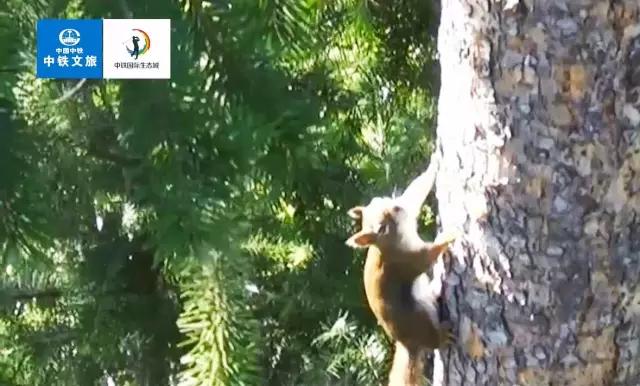 双龙新区中铁生态城,双龙中铁国际生态城最新消息