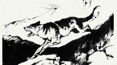 民间故事结发夫妻不可弃,民间故事夫妻感情故事