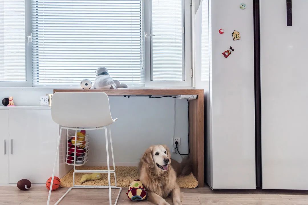 一室一厅一厨一卫小户型,40平小家三室一厅装修