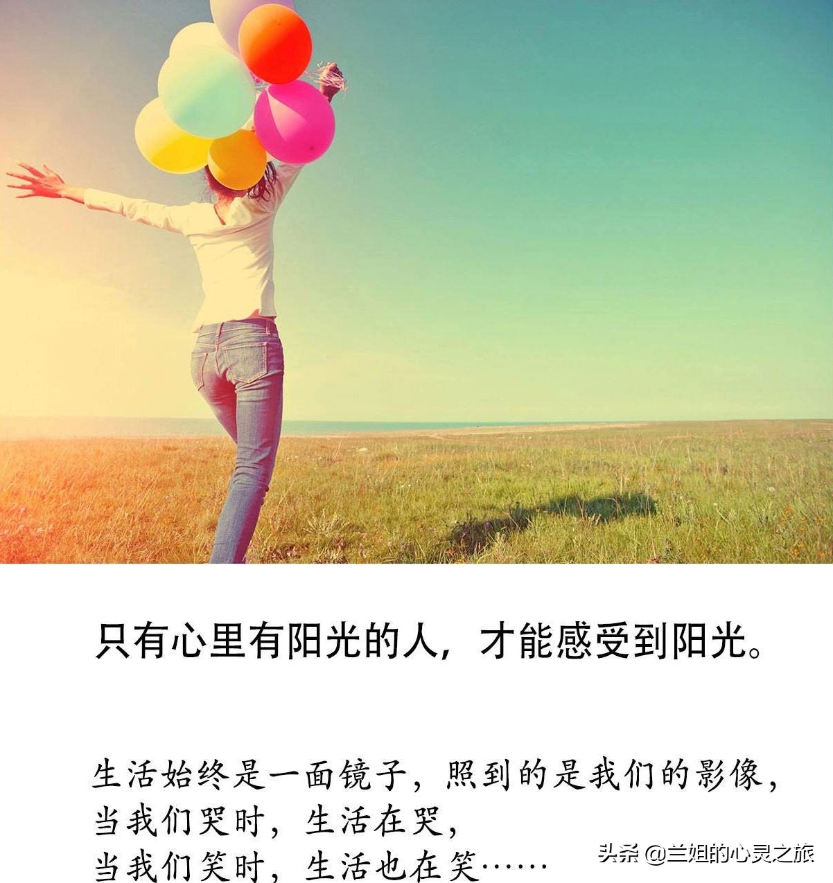 周公解梦梦见蜘蛛精,周公解梦梦见蜘蛛是什么征兆