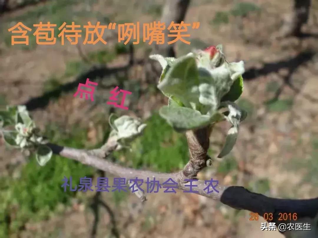 一线实战专家,一线实战导师经验丰富