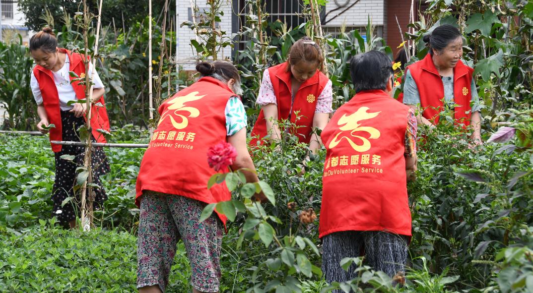 成都新都区军屯镇郭家村,成都新都军屯郭家村
