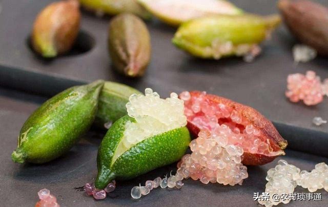 果中的“鱼子酱”，味道怪异惹人爱，一斤卖400元，解酒效果好