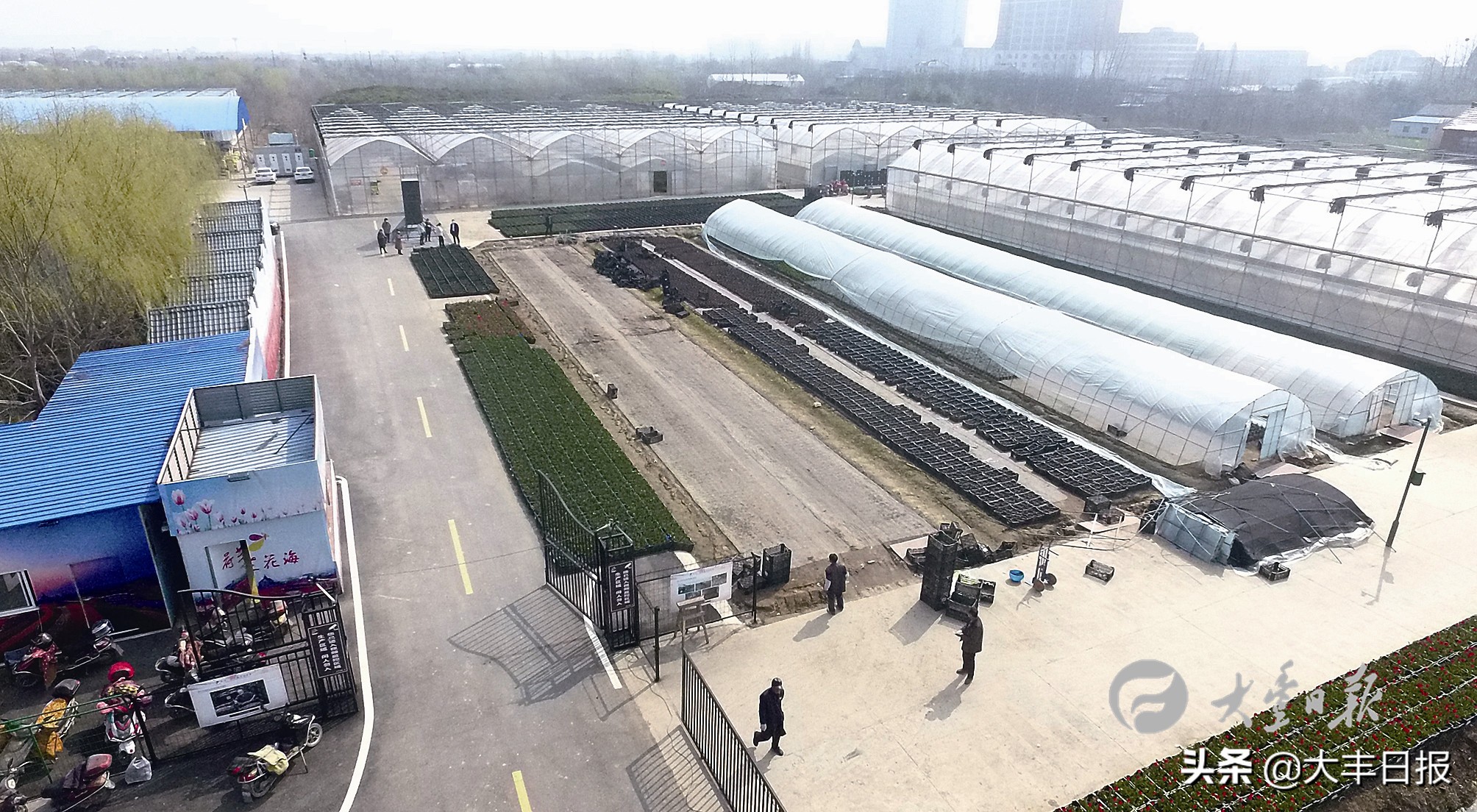 澎湃产业发展新动能,澎湃强劲动能