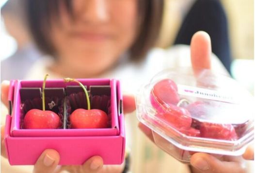 日本农协如何,日本农协为什么厉害