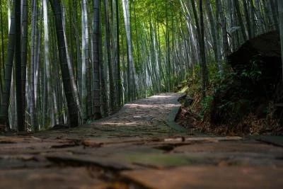 在未来如果想创业该选什么行业,想创业做豆腐第一步该怎么走