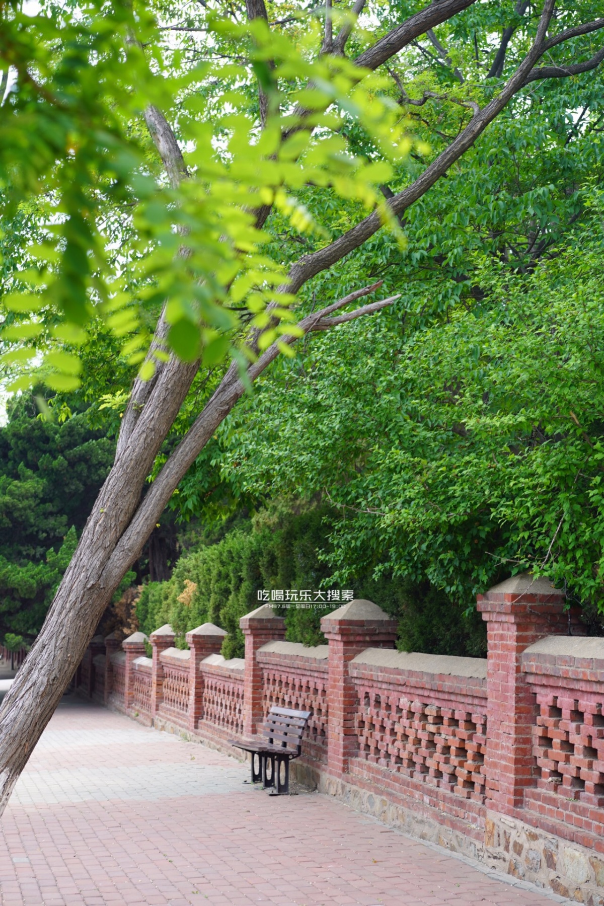 遇上浓浓的大连海蛎子味,青岛海蛎子旅游攻略