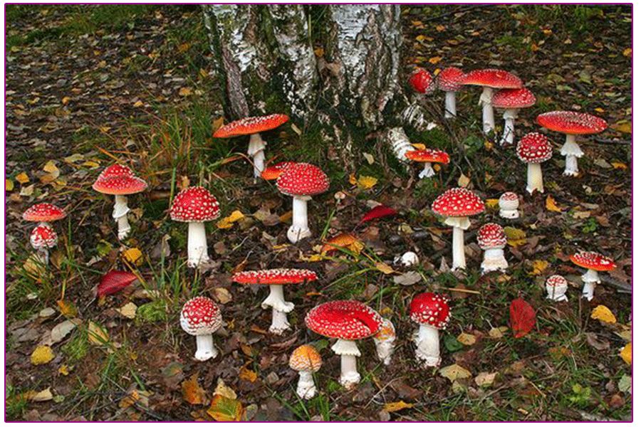 美丽的城堡绘画,儿童画城堡绘画教程